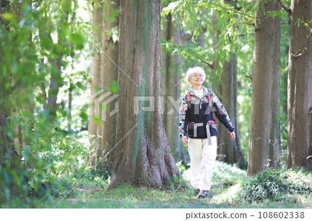 Senior mountaineering 108602338