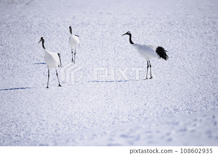 冬至起重機 108602935