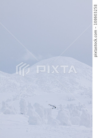 八甲田在冬天 108603258
