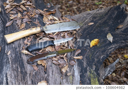 Camping essential knives Camping essential knives 108604982