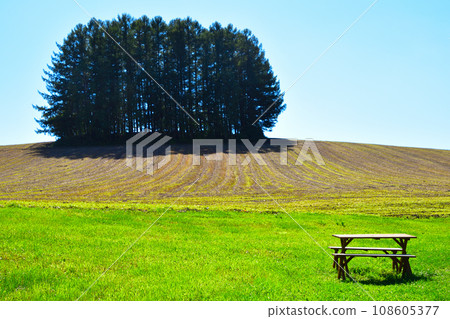 Hill Town Biei Town 108605377