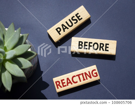 Pause before Reacting symbol. Concept words Pause before Reacting on wooden blocks. Beautiful deep blue background with succulent plant. Business concept. Copy space. 108605706