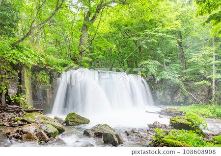 Towada City, Aomori Prefecture, Summer Oirase Stream, Choshi Falls 108608908