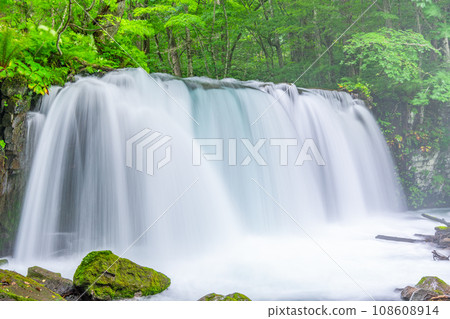 Towada City, Aomori Prefecture, Summer Oirase Stream, Choshi Falls 108608914