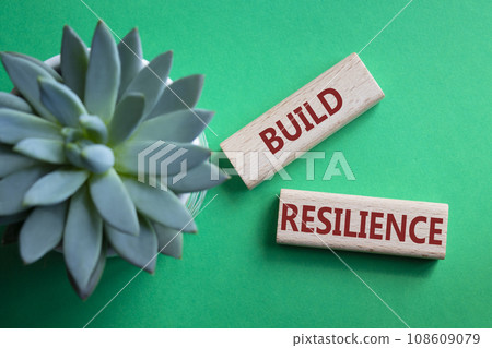 Build resilience symbol. Wooden blocks with words Build resilience. Beautiful green background with succulent plant. Business and Build resilience concept. Copy space. Build resilience symbol. Wooden blocks with words Build resilience. Beautiful green background with succulent plant. Business and Build resilience concept. Copy space. 108609079