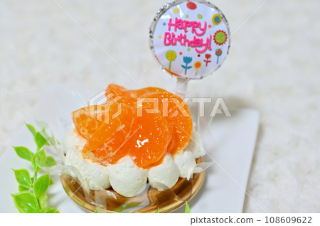 狗狗生日蛋糕：橘子蛋糕 108609622