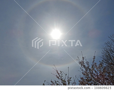 日暈，一種繞射現象，在太陽周圍形成彩虹色的環。 108609823