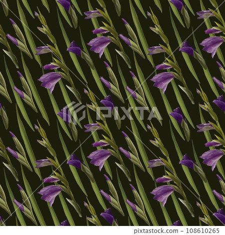 Watercolor gladioluses plant seamless pattern, hand drawn floral illustration of violet flowers buds and leaves. Isolated, dark background.Repeating design for print, wallpaper, wrapping paper textile Watercolor gladioluses plant seamless pattern, hand drawn floral illustration of violet flowers buds and leaves. Isolated, dark background.Repeating design for print, wallpaper, wrapping paper textile 108610265