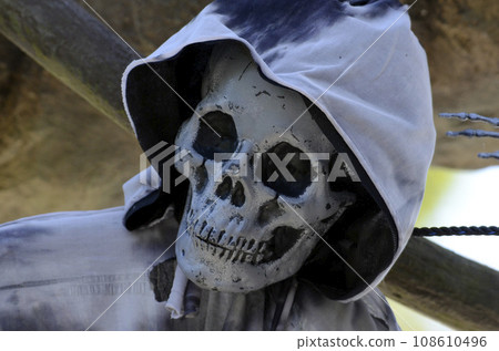 skull skull 108610496