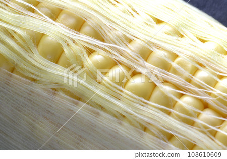 corn  108610609
