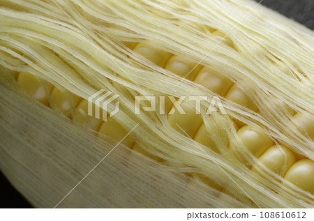 corn corn 108610612