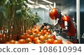 Harvesting tomatoes in a greenhouse using the latest technologies, robotics. Robots collect ripe vegetables.  108610994