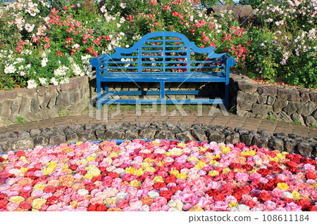 被鮮花包圍的長凳 108611184