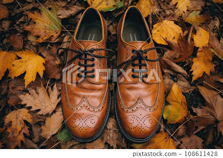 a pair of brown leather shoes on the ground with autumn leaves in the background, shot from above stock photo 108611428
