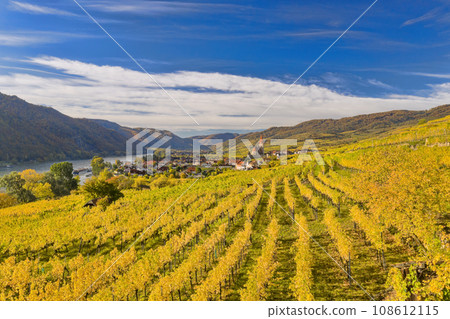 Autumn panorama of Wachau valley (Unesco world heritage site) with colorful vineyard and Danube river near the Weissenkirchen village in Lower Austria, Austria 108612115