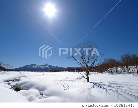 福島縣檜原湖結冰。白雪皚皚的磐梯山和白雪原上的一棵樹的影子在藍天的映襯下顯得格外美麗。 福島縣檜原湖結冰。白雪皚皚的磐梯山和白雪原上的一棵樹的影子在藍天的映襯下顯得格外美麗。 108612415