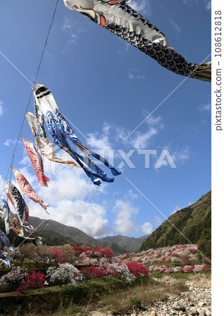 Carp streamer swimming in the blue sky 108612818