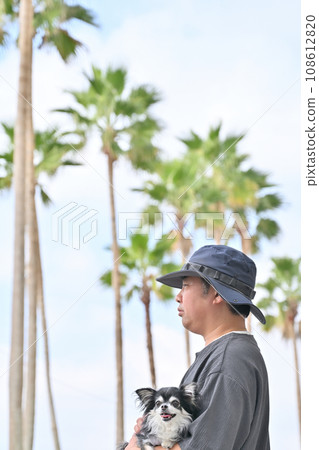 Male owner taking a walk with his Chihuahua in his arms - tropical resort image 108612820