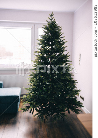Artificial green Christmas tree without decor at home. Artificial green Christmas tree without decor at home. 108612985