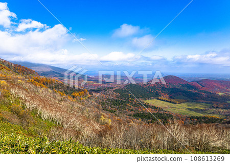 從北海道刈勝峠展望台眺望十勝平原的秋景 從北海道刈勝峠展望台眺望十勝平原的秋景 108613269