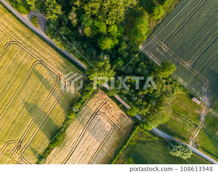Geometric Harvest: Aerial Abstract of Crop Mosaics 108613548