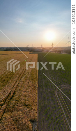 Pajottenland Panorama: Sunrise Over Belgian Fields Pajottenland Panorama: Sunrise Over Belgian Fields 108613551