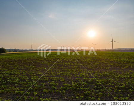 Pajottenland Panorama: Sunrise Over Belgian Fields 108613553
