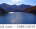 autumn 108613634