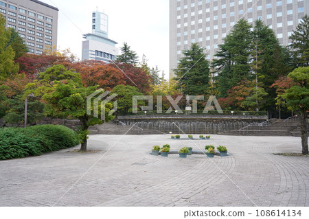 Sendai City Autumn Kotodai Park 108614134