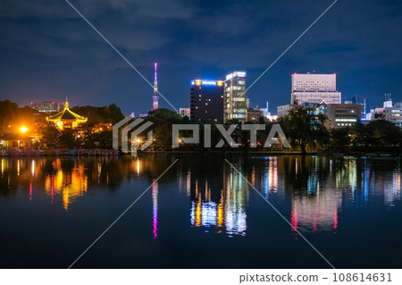東京台東區上野公園不忍池在晚上 108614631