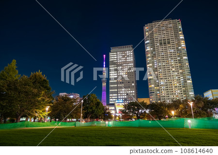 東京墨田區錦石公園的夜景 東京墨田區錦石公園的夜景 108614640