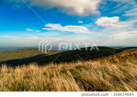 Polonina Wetlinska, Bieszczady mountain, Bieszczady National Park, Poland. 108614664