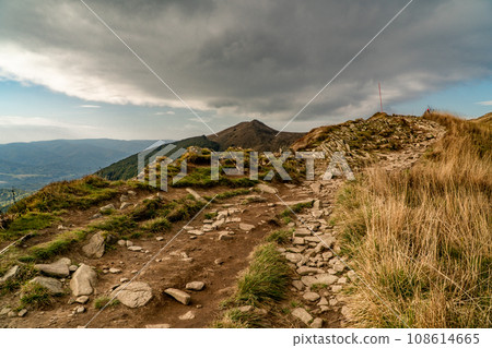 Polonina Wetlinska, Bieszczady mountain, Bieszczady National Park, Poland. 108614665