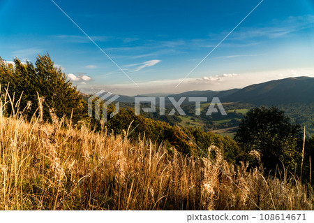 Polonina Wetlinska, Bieszczady mountain, Bieszczady National Park, Poland. Polonina Wetlinska, Bieszczady mountain, Bieszczady National Park, Poland. 108614671