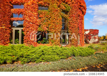 Agricultural Experiment Park/Autumn Twin Cap 108614945