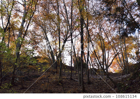 岩比須山，登山，群馬縣 108615134