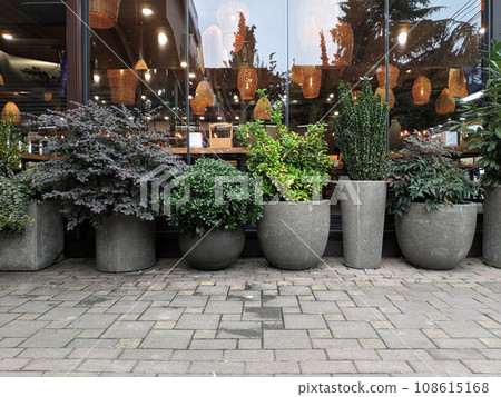 Set of decorative in pots with plants Set of decorative in pots with plants 108615168