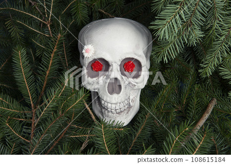 a plastic Skull with red rose flowers where the eyes should be a plastic Skull with red rose flowers where the eyes should be 108615184