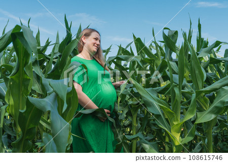 Pregnant woman stand at the corn field Pregnant woman stand at the corn field 108615746