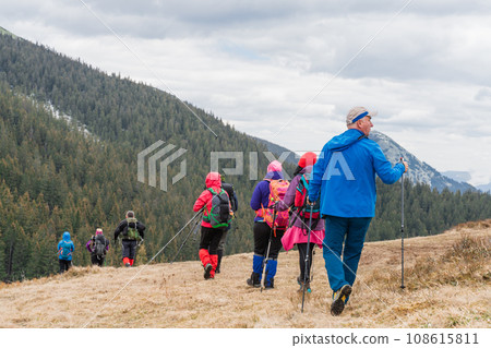 Diverse hikers with backpacks and nordic walking sticks Diverse hikers with backpacks and nordic walking sticks 108615811