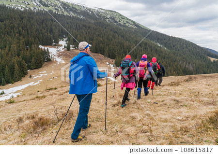 Diverse hikers with backpacks and nordic walking sticks Diverse hikers with backpacks and nordic walking sticks 108615817