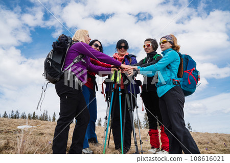 Group of female hikers in mountains during saffron blooming at spring Group of female hikers in mountains during saffron blooming at spring 108616021