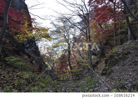 Mt. Iwabisu, mountain climbing, Gunma Prefecture Mt. Iwabisu, mountain climbing, Gunma Prefecture 108616214