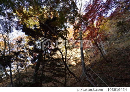 岩比須山，登山，群馬縣 108616454