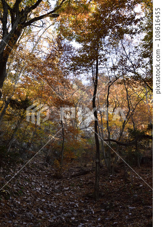岩比須山，登山，群馬縣 108616455