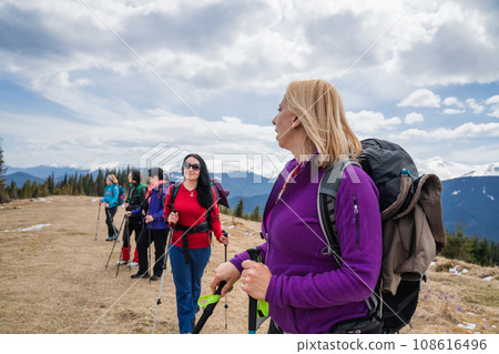Group of female hikers in mountains during saffron blooming at spring 108616496