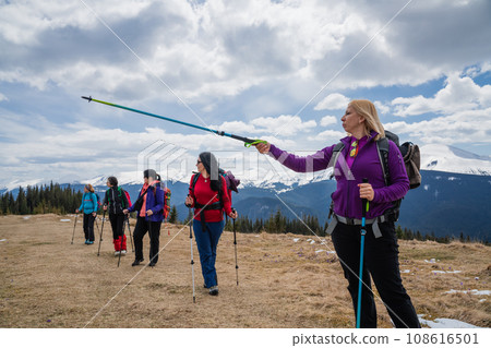 Female hikers in mountains during saffron blooming at spring 108616501