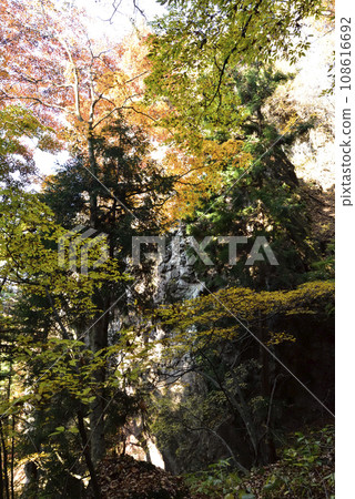 Mt. Iwabisu, mountain climbing, Gunma Prefecture 108616692