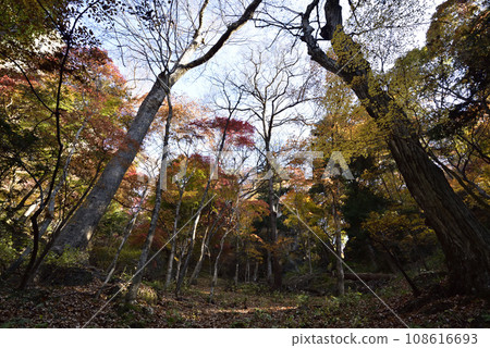 Mt. Iwabisu, mountain climbing, Gunma Prefecture 108616693
