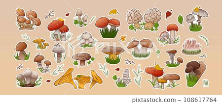 Vector set stickers forest mushrooms. Collection different types mushrooms edible and inedible. Vector set stickers forest mushrooms. Collection different types mushrooms edible and inedible. 108617764